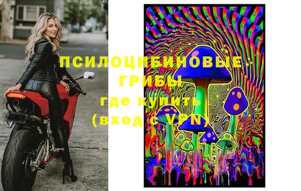 дмт Абаза