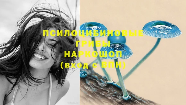 индика Абинск