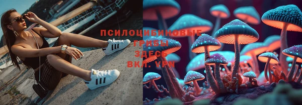 индика Абинск