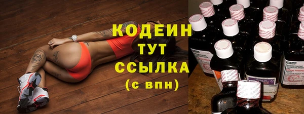 индика Абинск