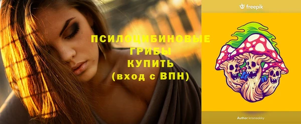 индика Абинск