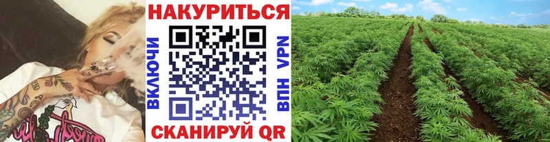 Бошки марихуана White Widow  что такое наркотик  Полярный 